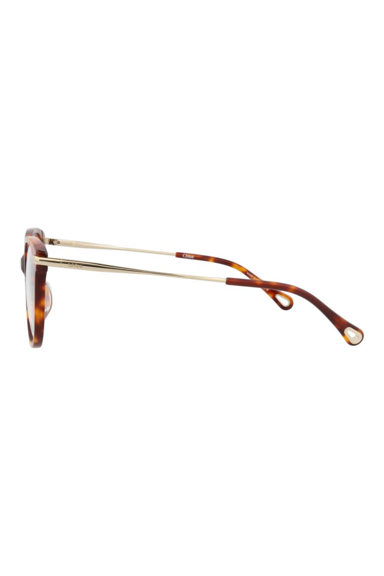 53mm Round Optical Frames, Alternate, color, HAVANA GOLD TRANSPARENT