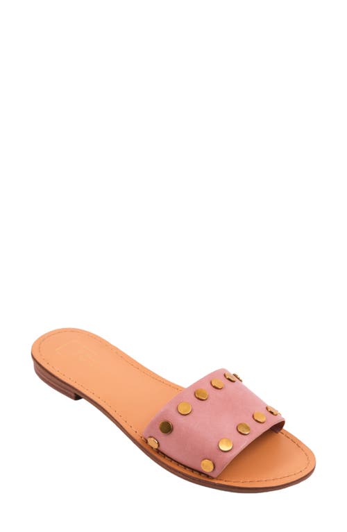 Shop Shushop Bernadette Slide Sandal