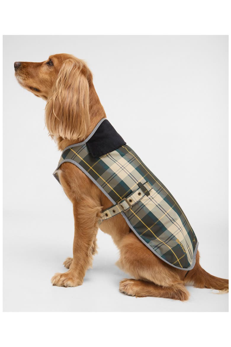 Tartan Waterproof Dog Coat, Alternate, color, ANCIENT TARTAN