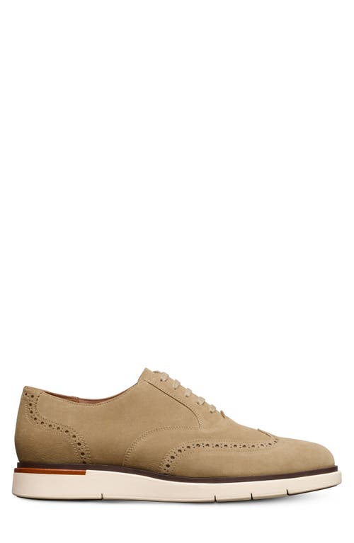 Allen Edmonds Carson Hybrid Wingtip Oxford In Bone