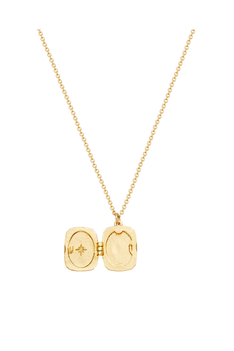Orla Hedgerow Locket Necklace, Alternate, color, Gold
