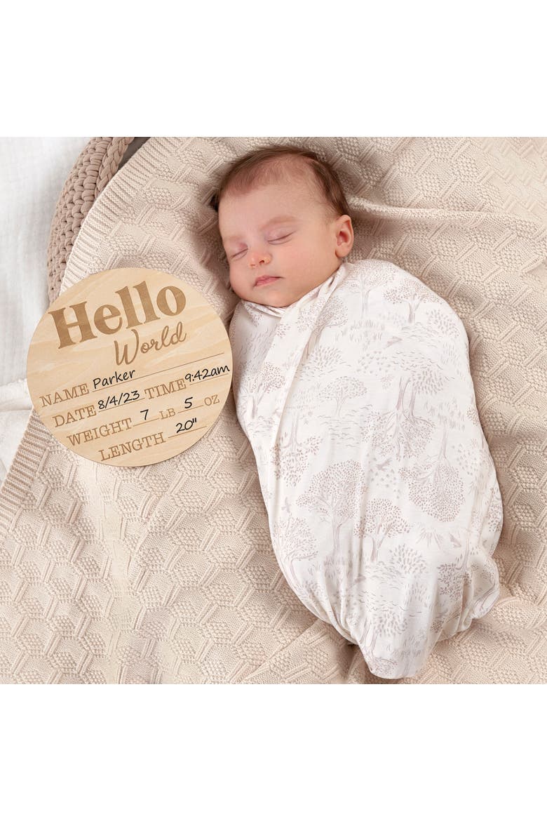 Wooden Milestone Birth Announcement Board, Alternate, color, Birth Announcement