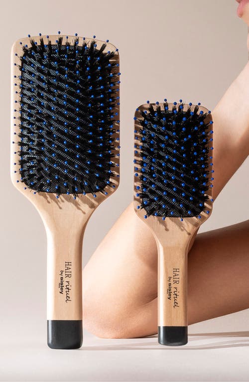 Sisley Paris Hair Rituel Pocket Brush In No Color