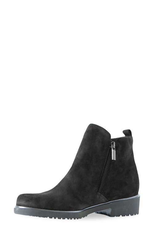 Shop Munro Rourke Water Resistant Bootie In Black Suede