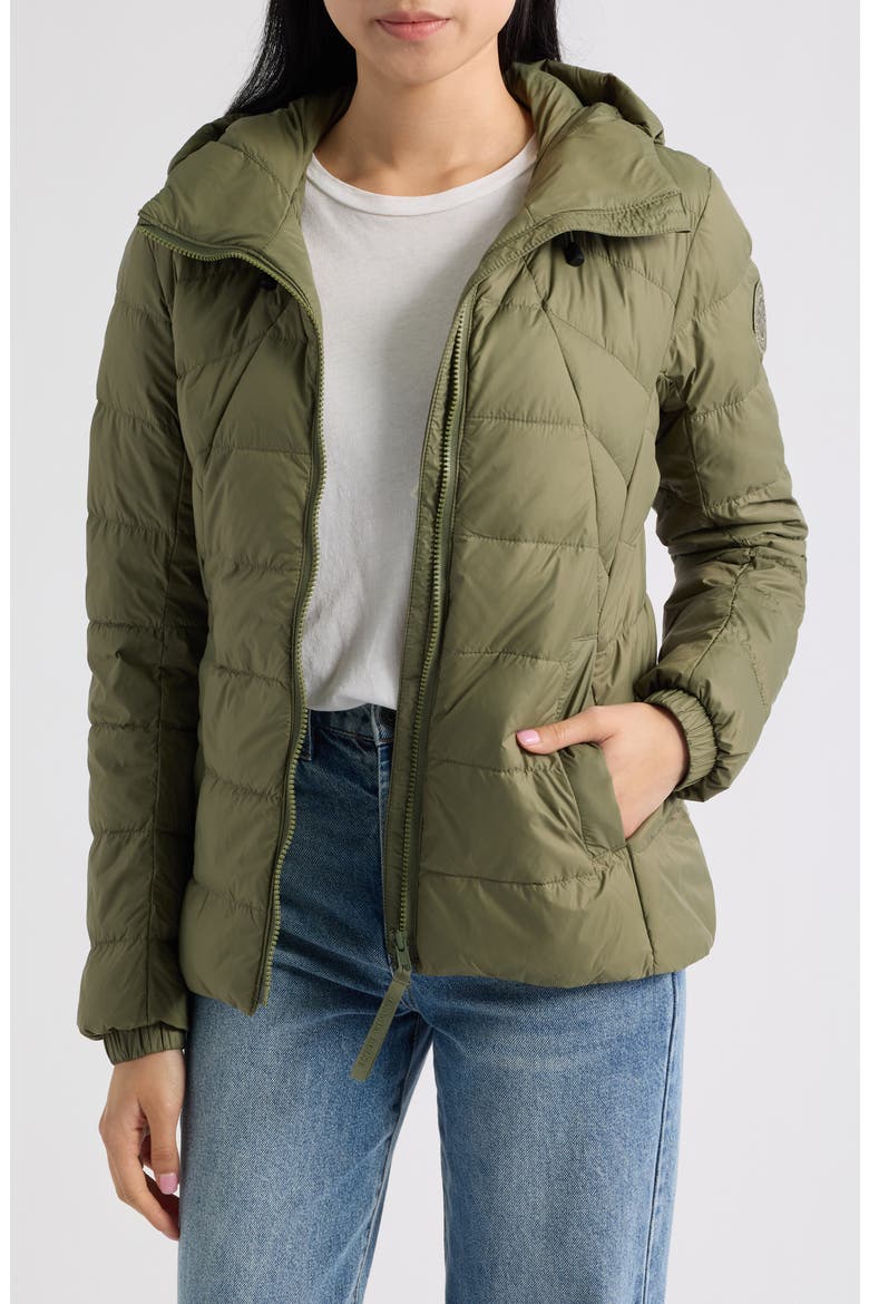 Abbott Hooded 625 Fill Power Down Jacket, Alternate, color, VIREO GREEN-VERT VIREO