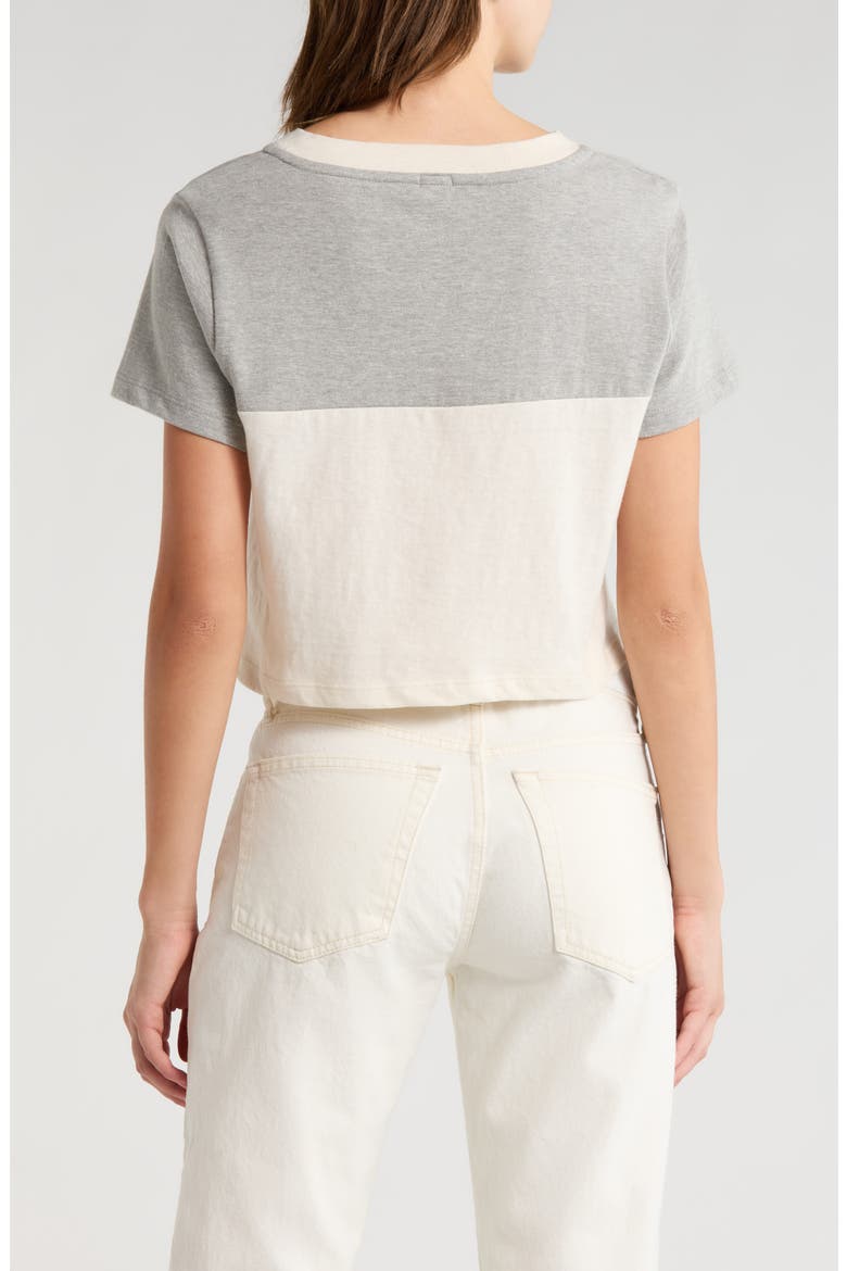 Contrast V-Neck Crop Jersey T-Shirt, Alternate, color, HTGVINWHIT