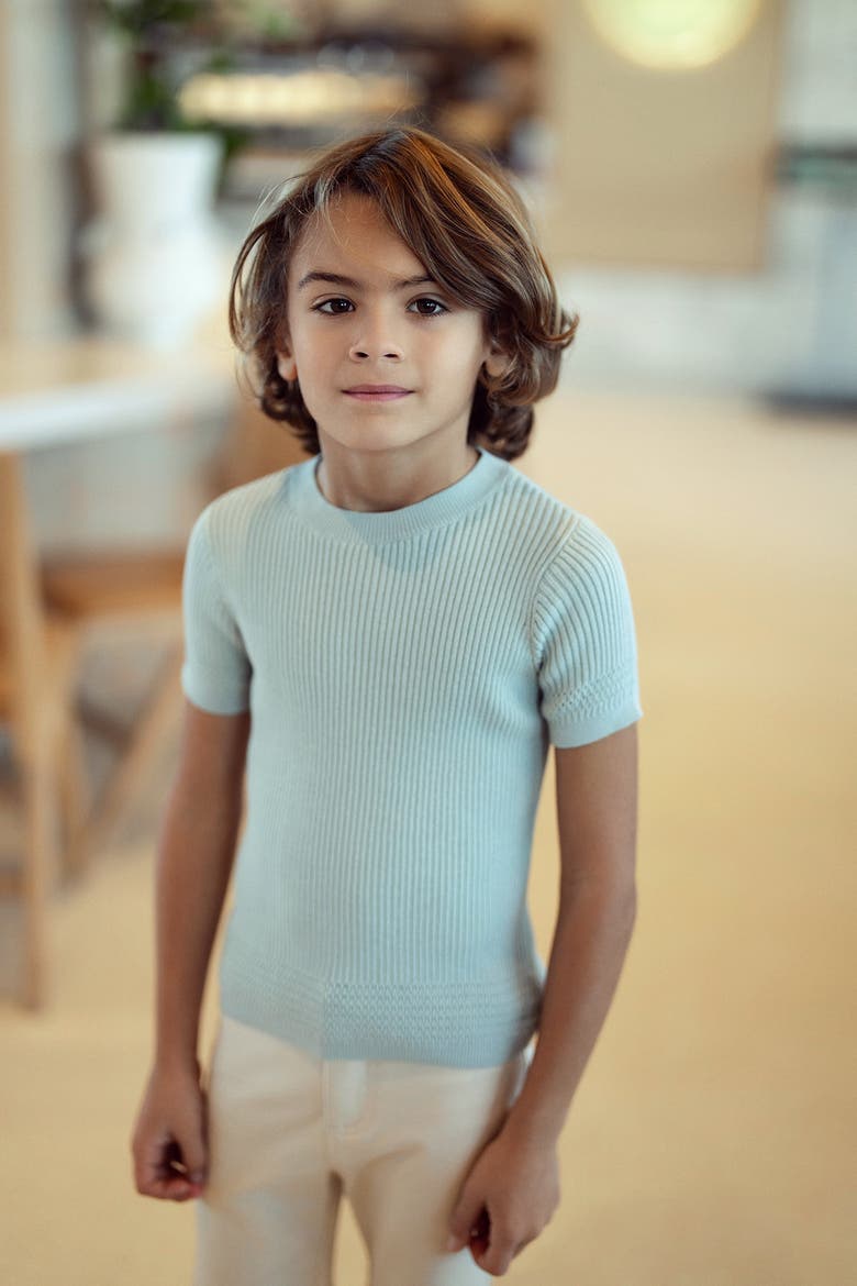 Short Sleeve Rib Knit Sweater, Alternate, color, Seabrook