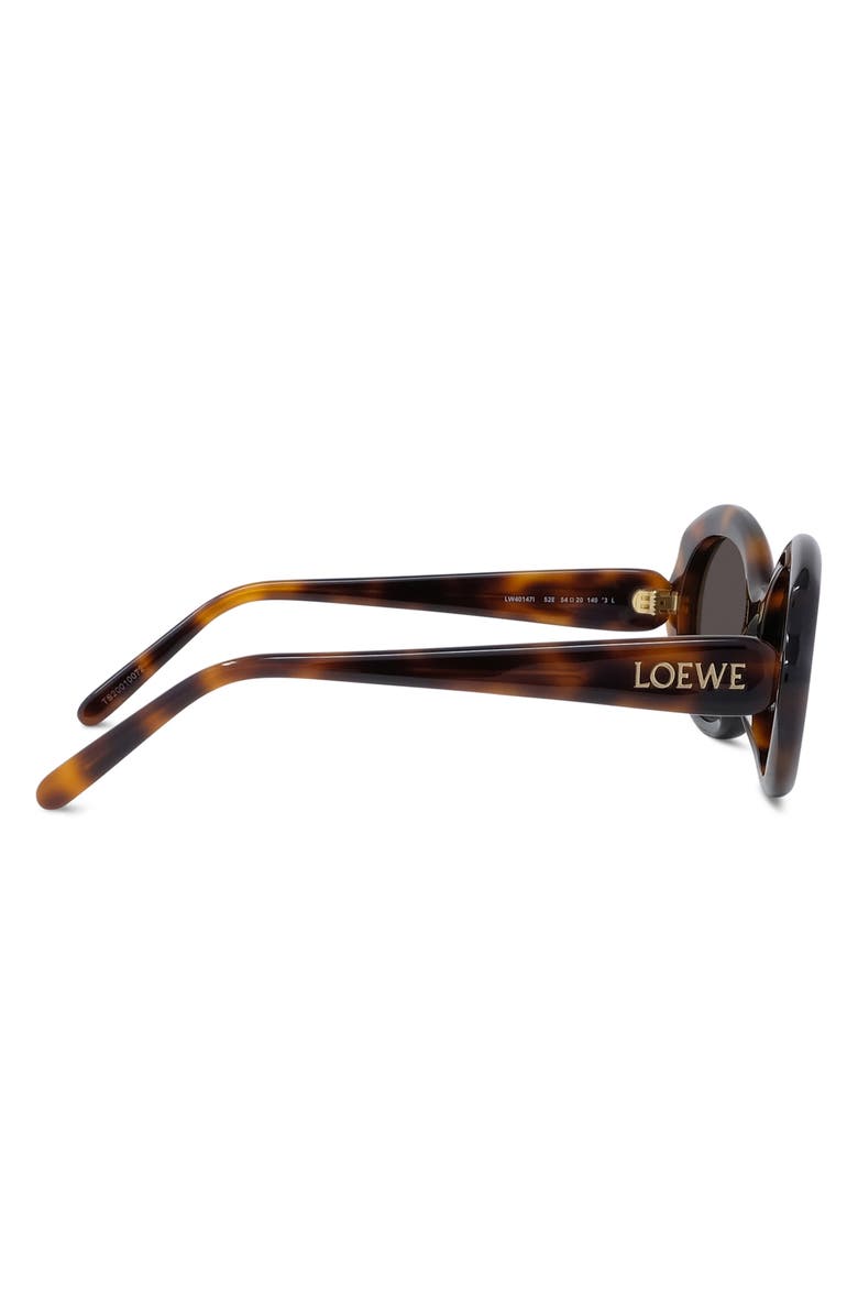 Loewe Thin Mini 54mm Oval Sunglasses, Alternate, color, Dark Havana / Brown