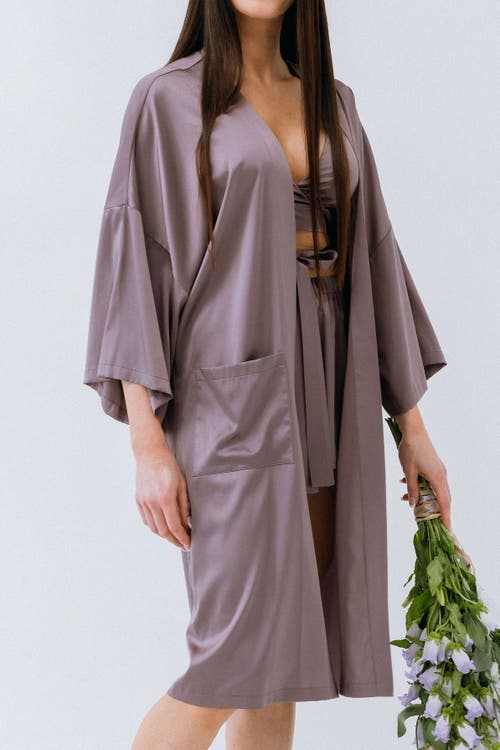 Alas Long Silk Robe In Gray