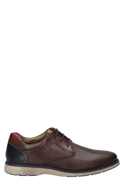 Josef Seibel Stuart 02 Perforated Leather Derby In Castagne