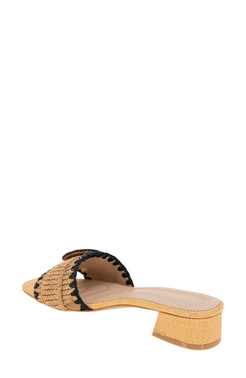 Bcbg Camri Buckled Raffia Slide Sandal In Dark Natural