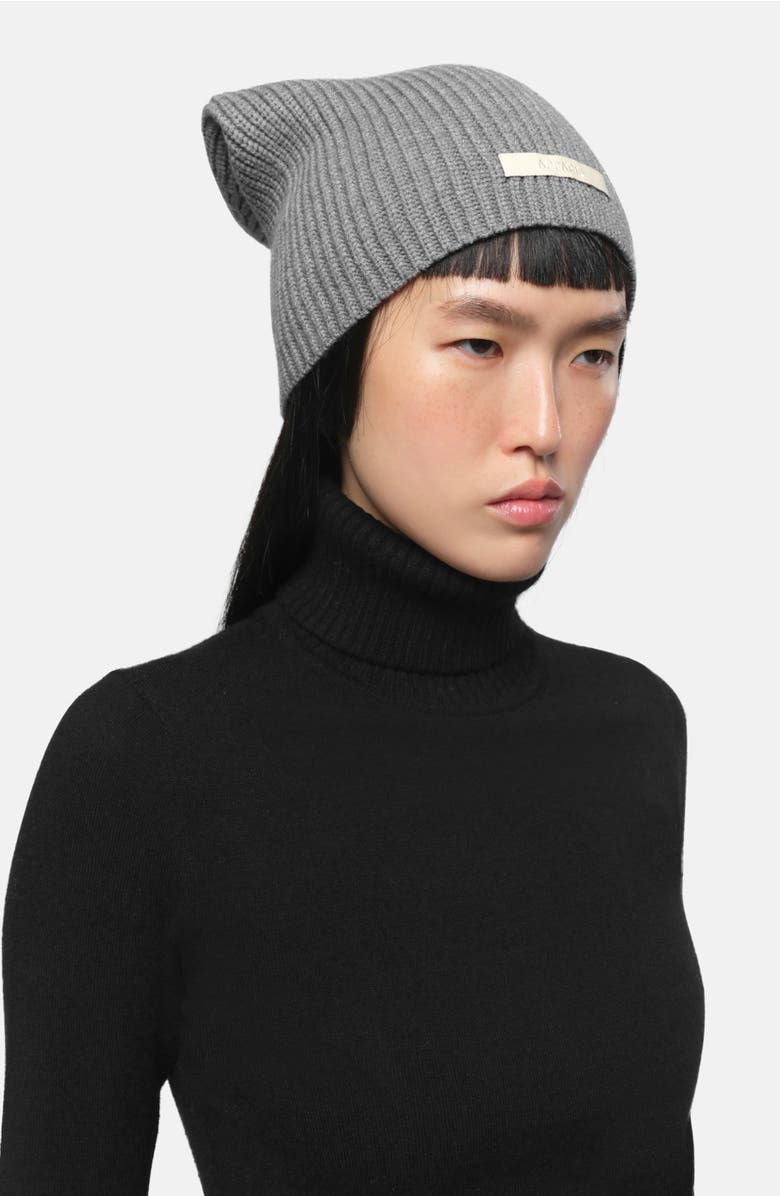 Apparis Cara Logo Patch Beanie, Alternate, color, Slate