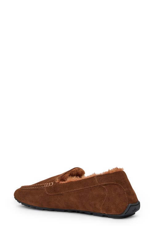 Aquatalia Qalista Weatherproof Faux Shearling Lined Driving Shoe In Brown
