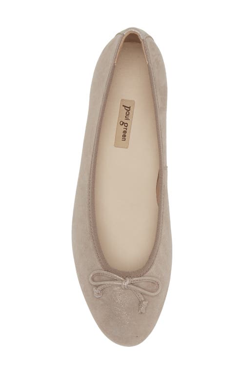 Paul Green Ursula Ballet Flat In Cashmere Suede Metallic