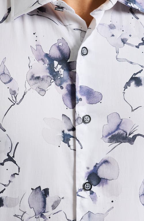 Robert Graham Dornan Long Sleeve Button-up Shirt In White
