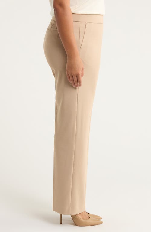 Ak Anne Klein Straight Leg Pants In Neutral