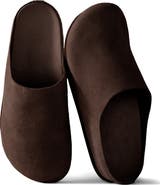 Haven Well Within Suede Clogs