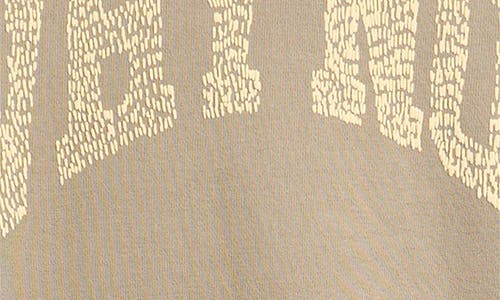 Honor The Gift Why Not Graphic Hoodie In Brown