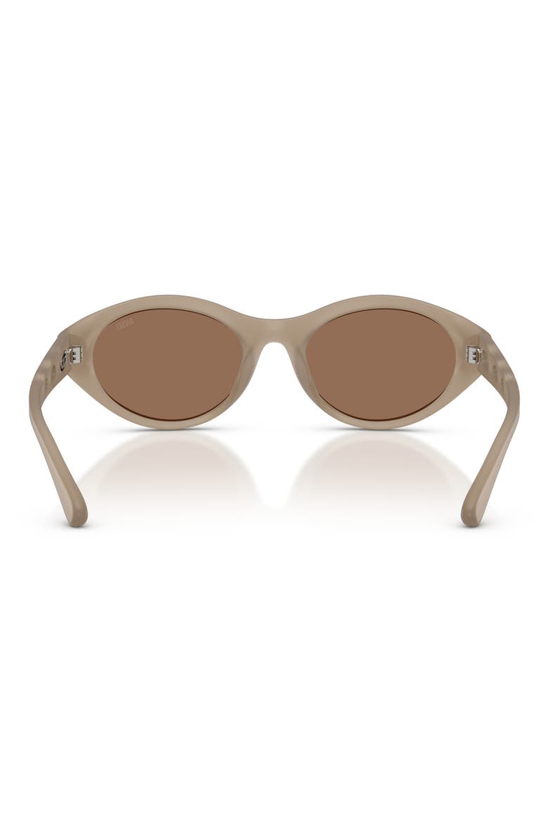 53mm Oval Sunglasses, Alternate, color, OPAL TRANSPAR GREY/ DARK BROWN