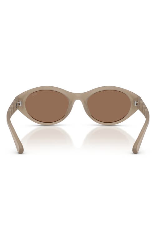 Shop Diesel ® 53mm Oval Sunglasses In Opal Transpar Grey/dark Brown