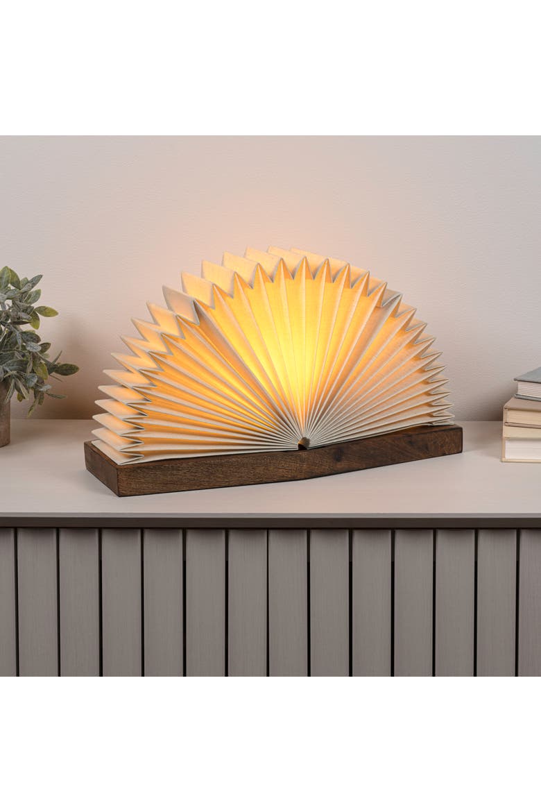 Darla Modern Art Deco Paper Half Pleated Fan LED Table Lamp, Natural, Alternate, color, Natural - 9.6"