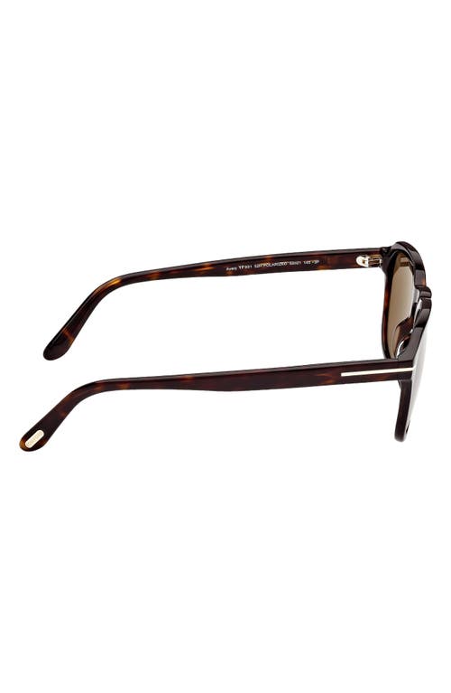 Tom Ford Avery 52mm Polarized Round Sunglasses