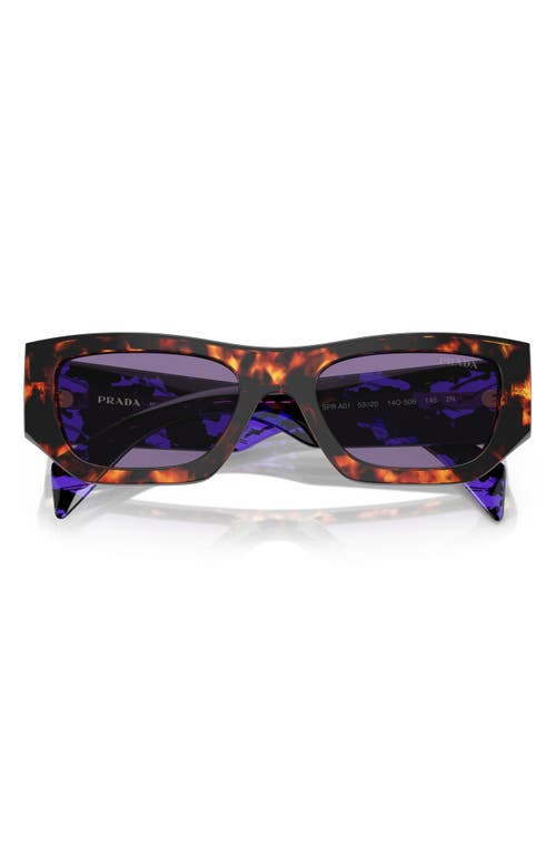 Prada Eyewear Sunglasses In Havana