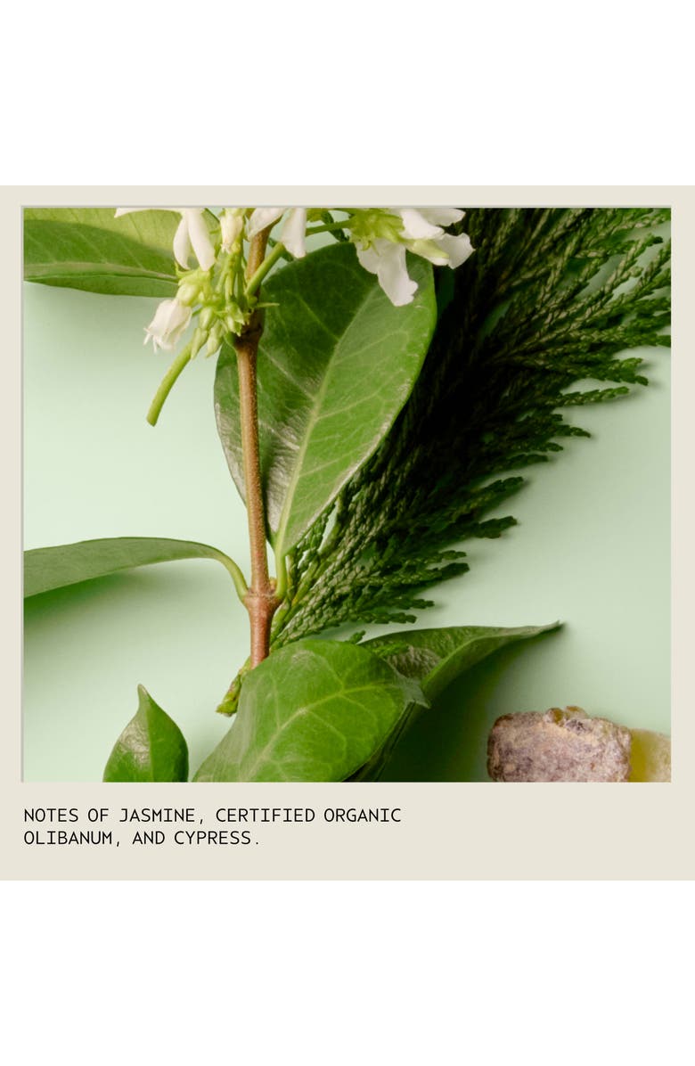 Aveda sap moss<sup>™</sup> Weightless Hydration Conditioner, Alternate, color, 