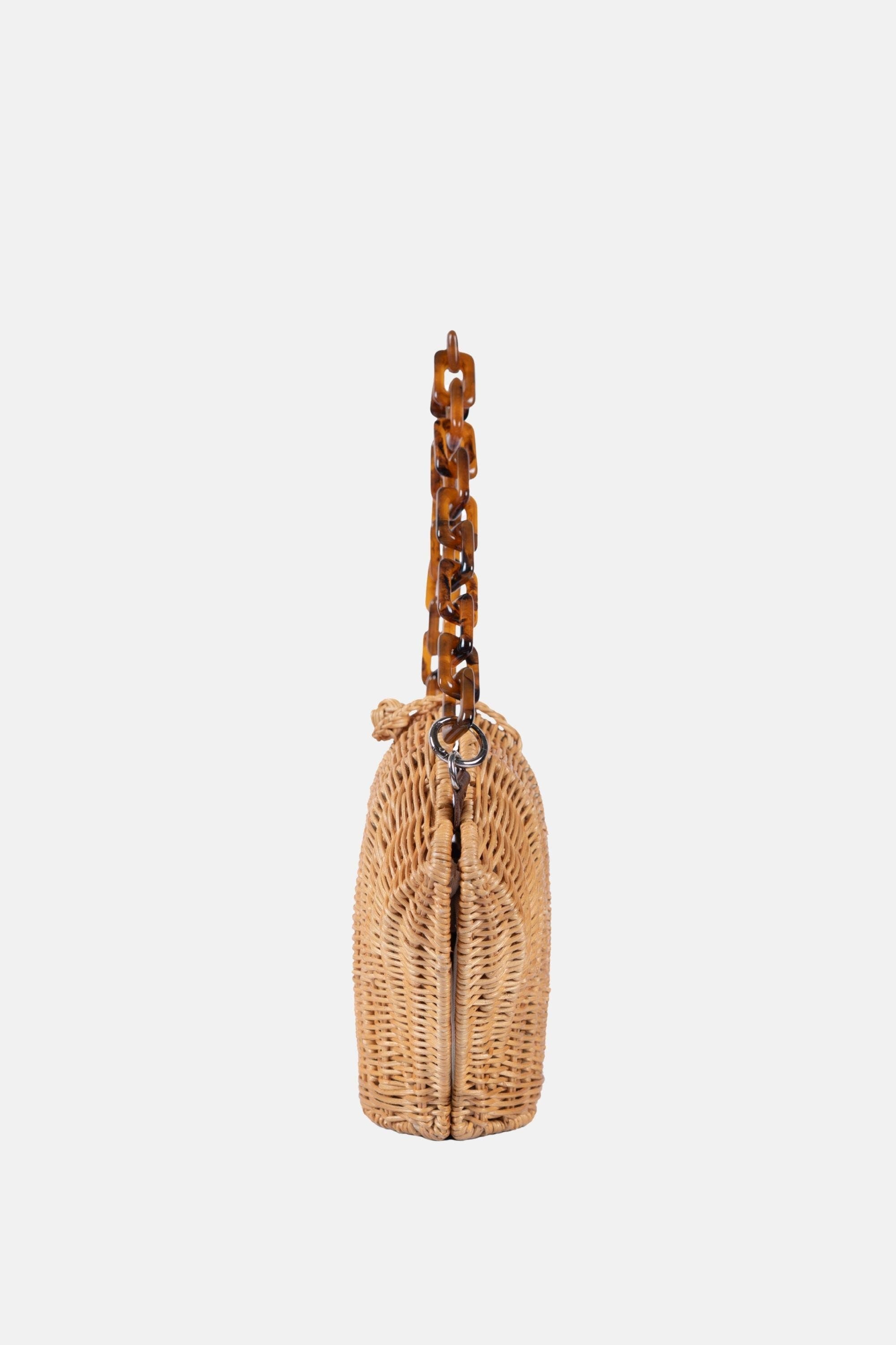 Jelavu Shelly Tortoise Crossbody Bag, Alternate, color, Natural
