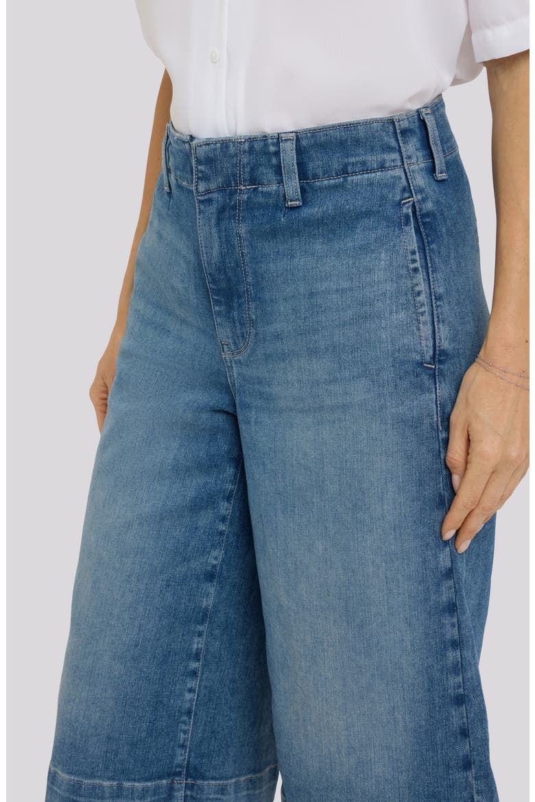 Jeanne High Waist Denim Culottes, Alternate, color, BREEZY PALMS