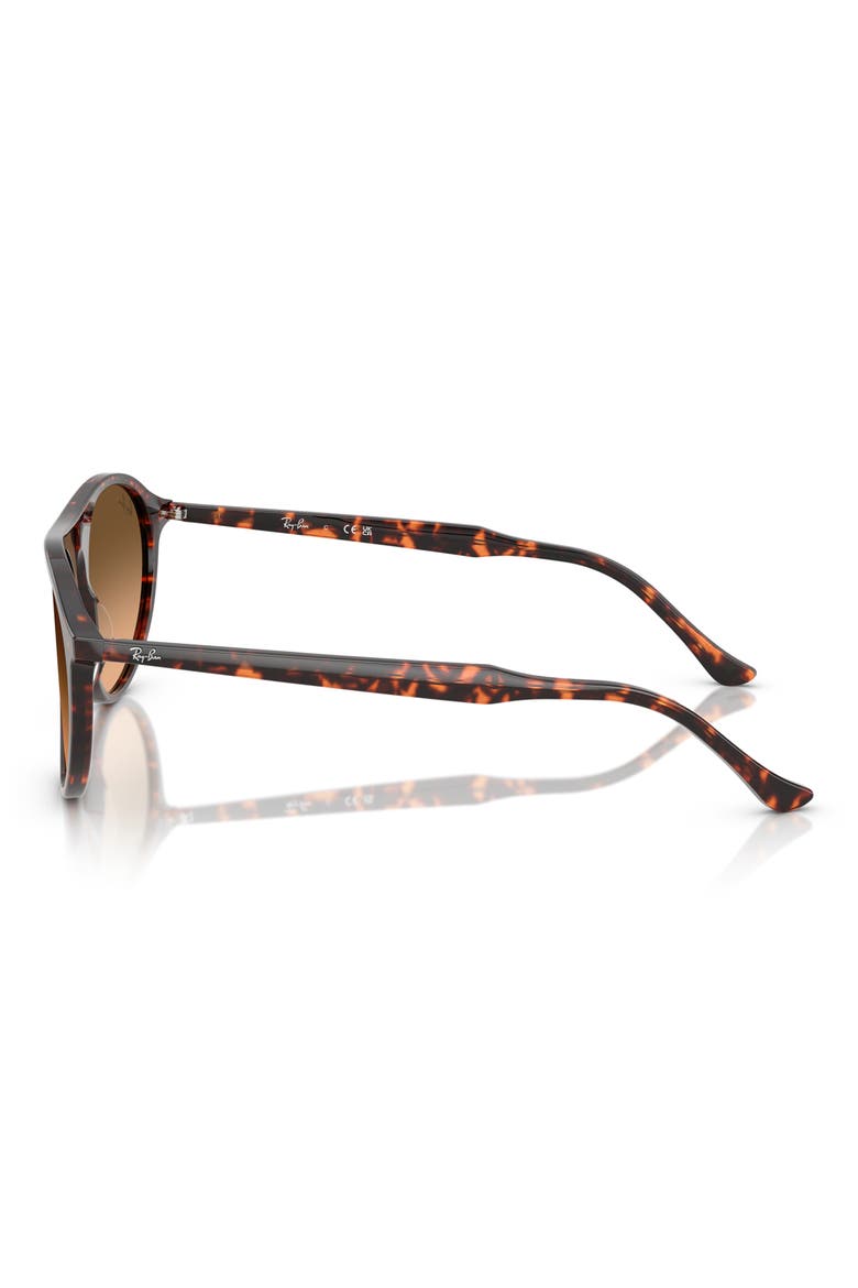 56mm Oval Sunglasses, Alternate, color, RED HAVANA