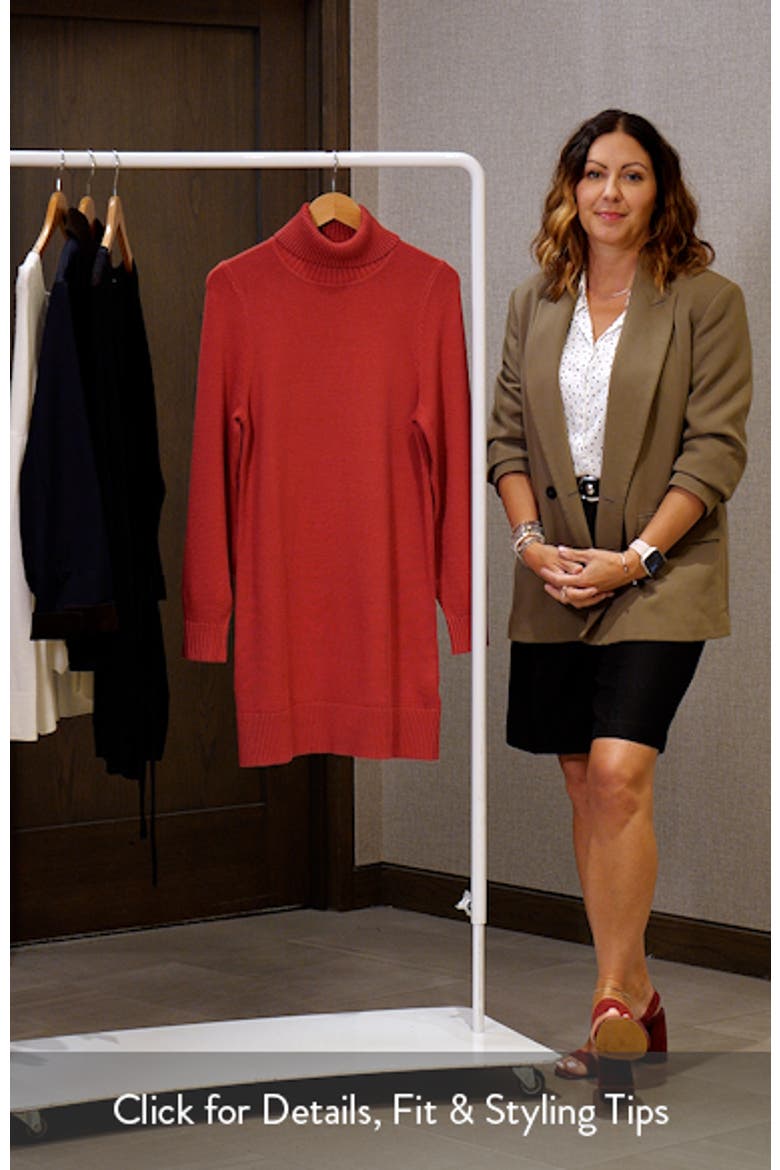 Freya Turtleneck Long Sleeve Sweater Minidress video