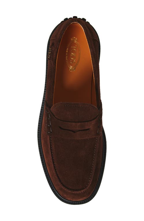 Tod's Penny-loafer Aus Wildleder In Brown