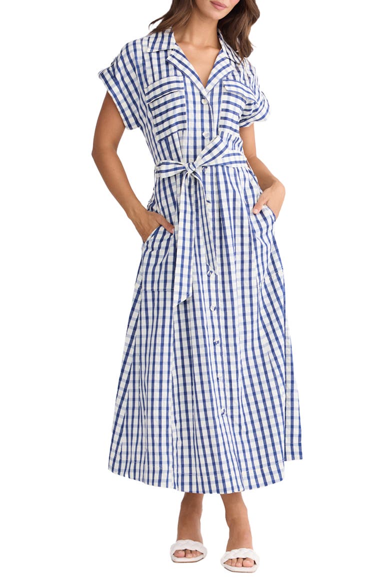 Portia Stripe Maxi Shirtdress, Alternate, color, BLUE CHECK