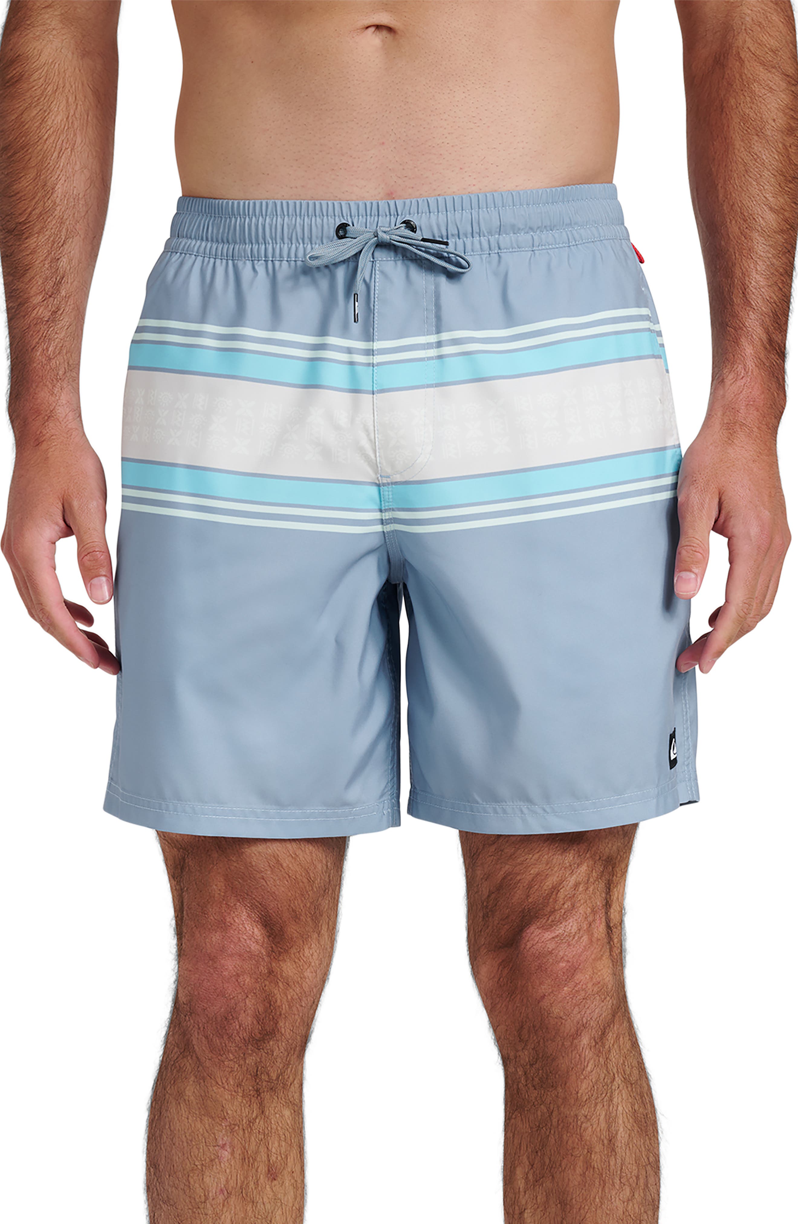 Quiksilver Everyday Stripe Volley Swim Trunks