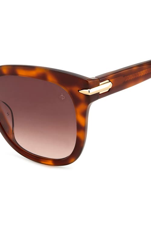 Rag & Bone 55mm Square Sunglasses In Havana