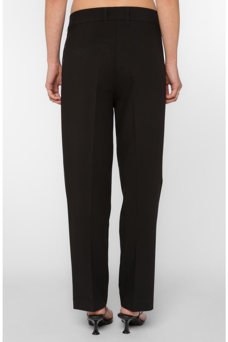 Fiji Embellished Straight Leg Pants, Alternate, color, BLACK