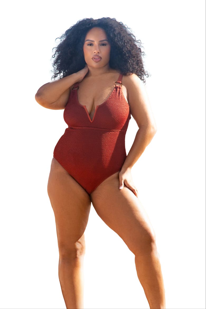 Curve Trim Detail Crinkle Swimsuit, Alternate, color, Brown