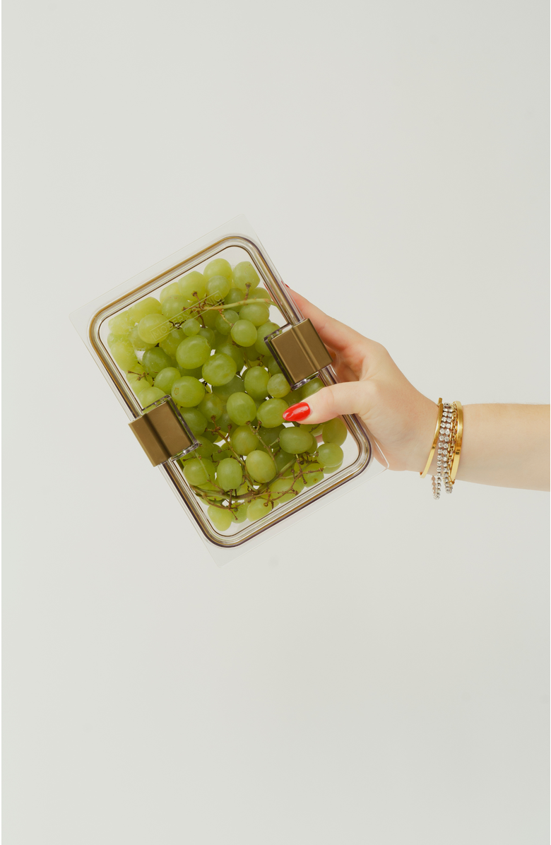 Modern Picnic THE CONTAINER - 10 SET, Alternate, color, Clear