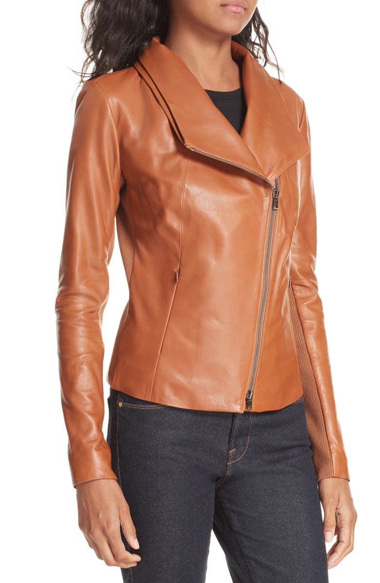 Nordstrom Signature Stand Collar Leather Jacket, Alternate, color, 