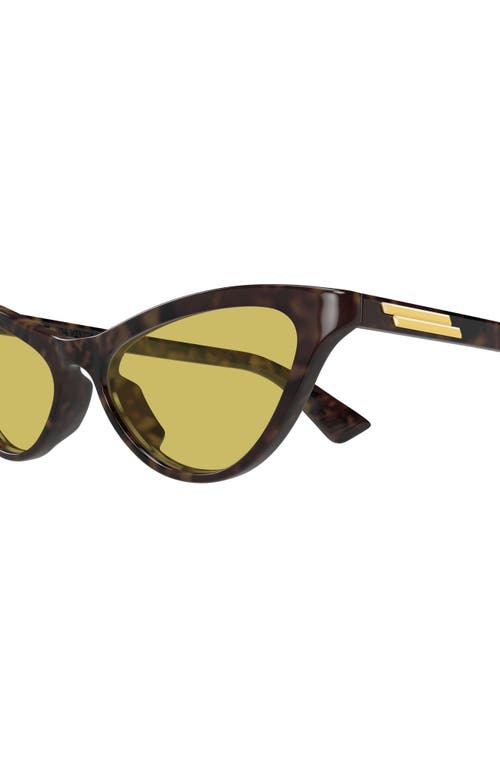 Bottega Veneta 56mm Cat Eye Sunglasses In Brown
