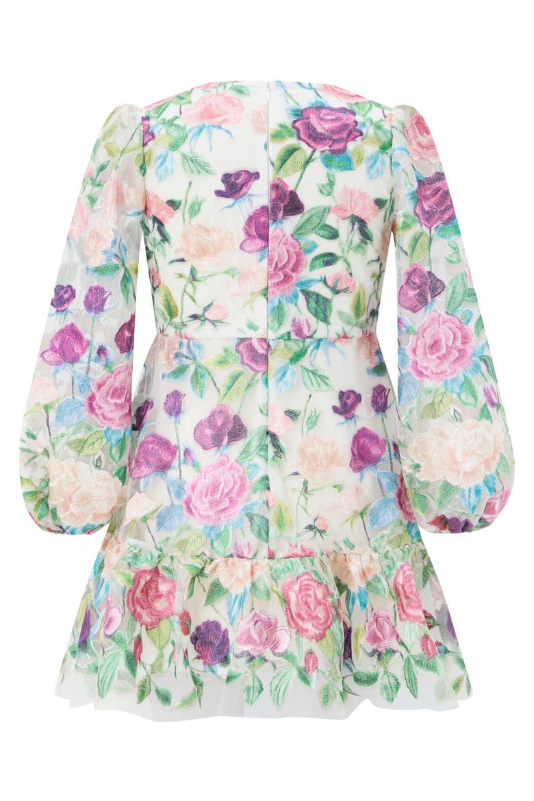Rachelle Embroidered Mini Dress, Alternate, color, Floral