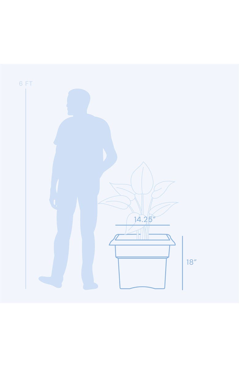 Bloem Veranda Square Deck Box Planter 18",Charcoal, Matte Finish, 9 Gal Capacity, Alternate, color, Gray