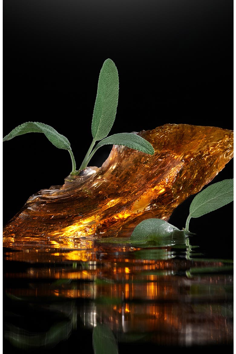 Velvet Amber Sage Eau de Parfum, Alternate, color, NO COLOR