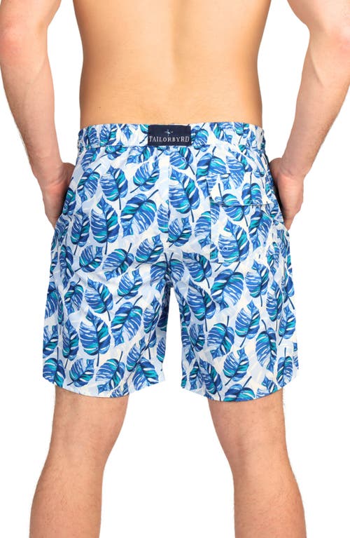 Tailorbyrd Tropical Leaves Print Swim Trunks In Green