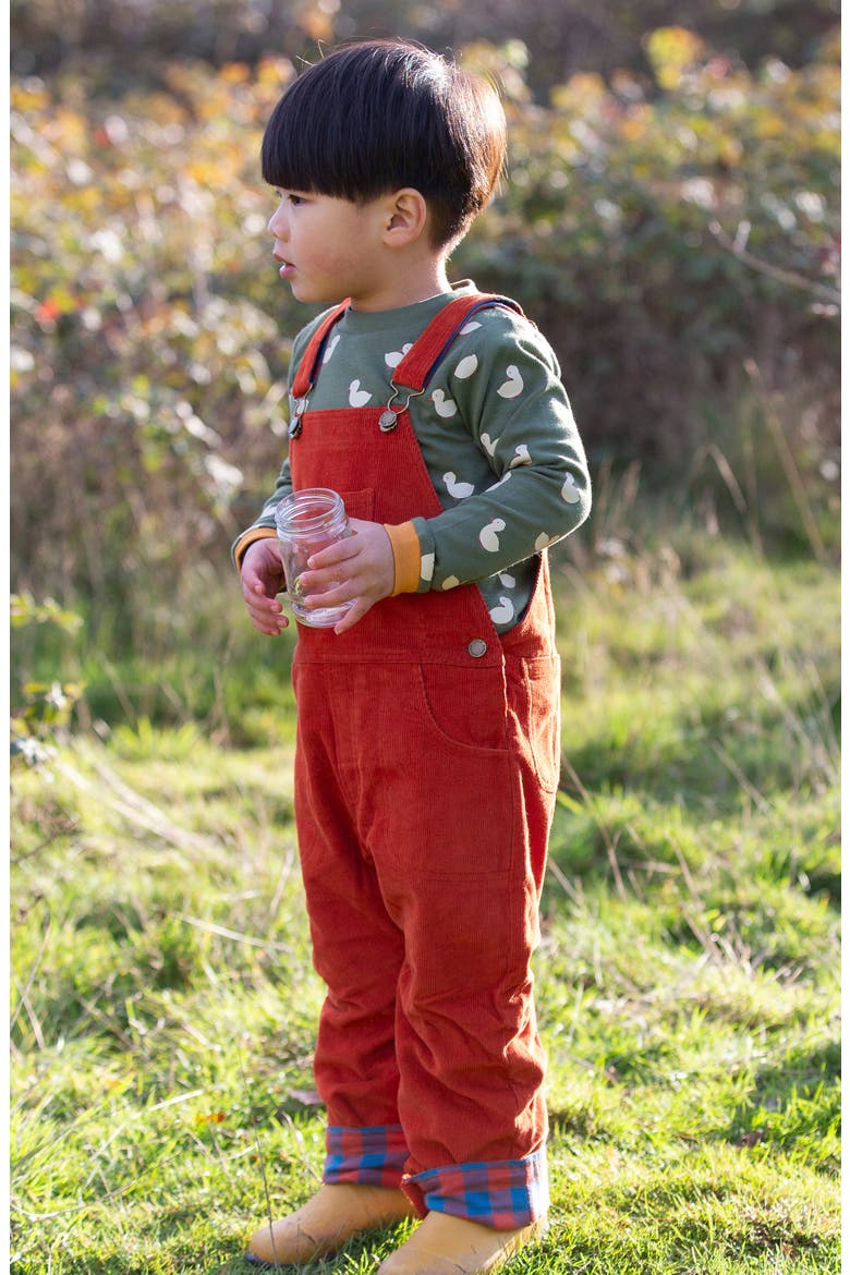 Kids' Organic Cotton Graphic Long Sleeve T-Shirt, Alternate, color, GREEN