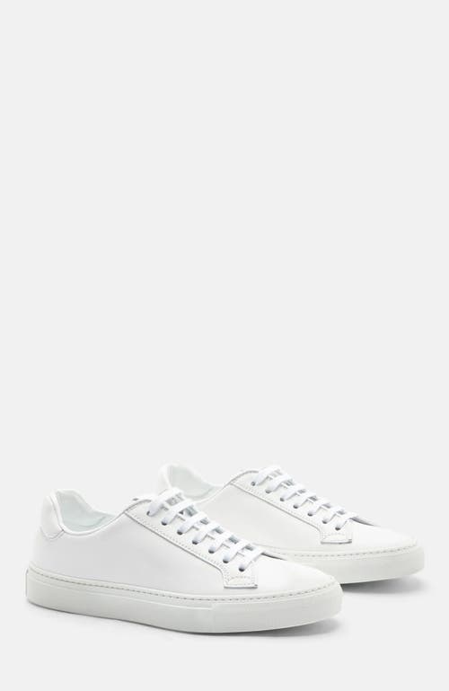 Scarosso Cecilia Sneakers