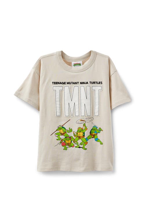 Cotton On Kids Kid's Licensed Drop Shoulder Short Sleeve Tee In Rainy Day Tmnt Team