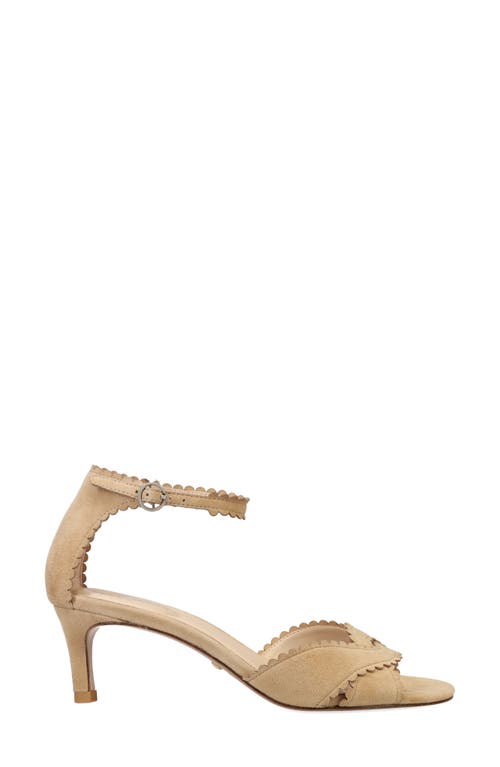 Pelle Moda Umelo Kitten Heel Ankle Strap Sandal In Latte