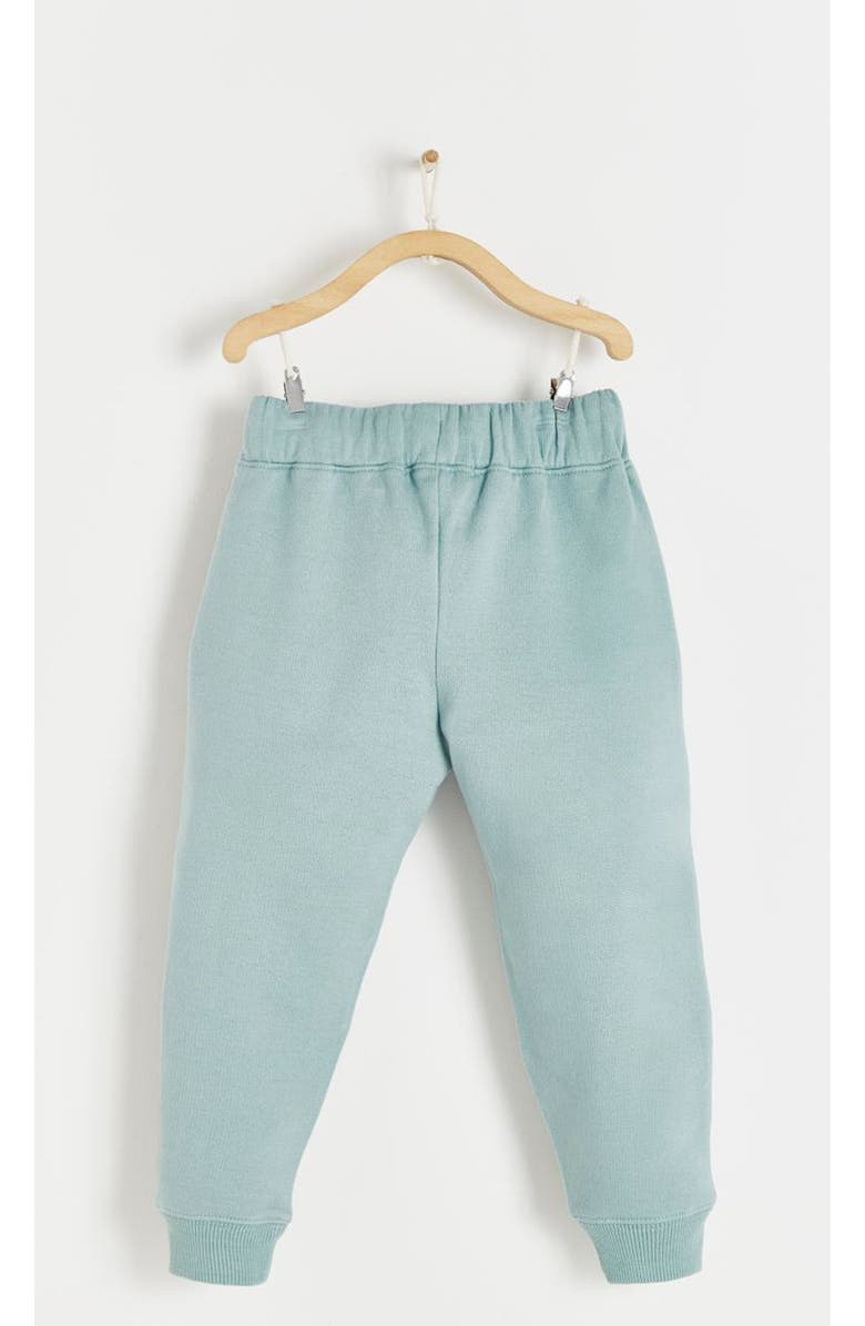 Babycottons Premium Cotton Merlin Jogger For Infant, Alternate, color,